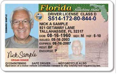 new florida driver license picture